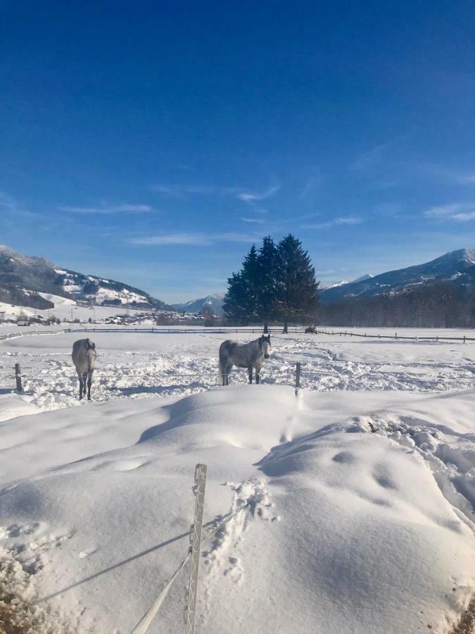 Traumhafte Wohnung Auf Pferde Ranch Айх Екстериор снимка