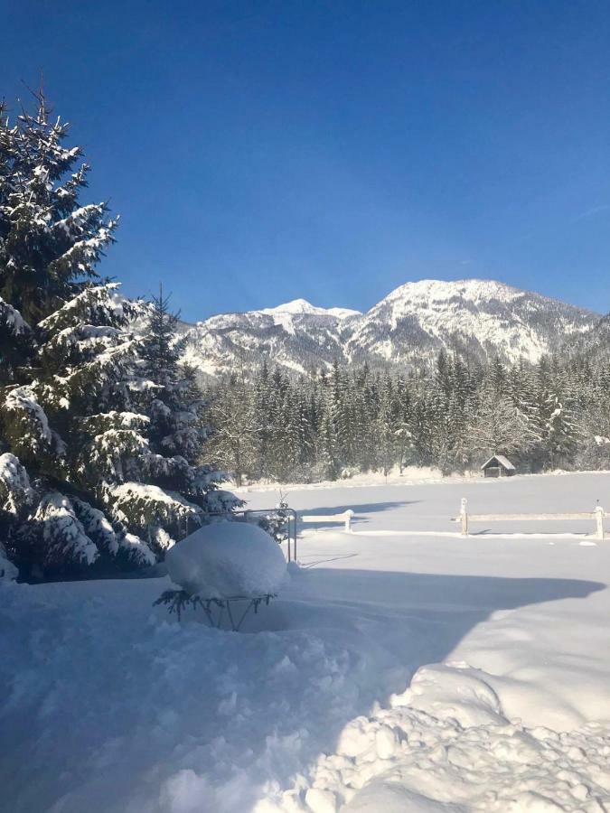 Traumhafte Wohnung Auf Pferde Ranch Айх Екстериор снимка
