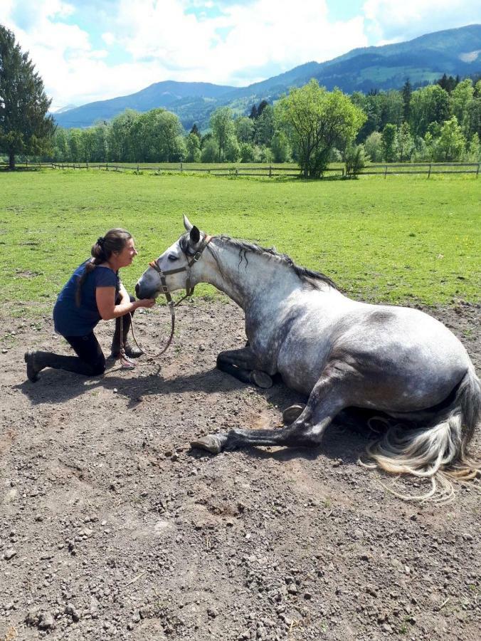 Traumhafte Wohnung Auf Pferde Ranch Айх Екстериор снимка