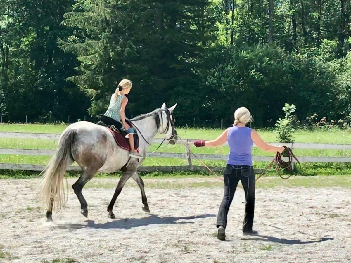 Traumhafte Wohnung Auf Pferde Ranch Айх Екстериор снимка