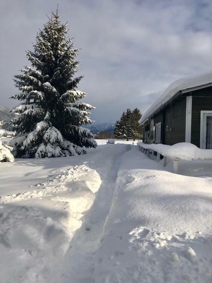 Traumhafte Wohnung Auf Pferde Ranch Айх Екстериор снимка
